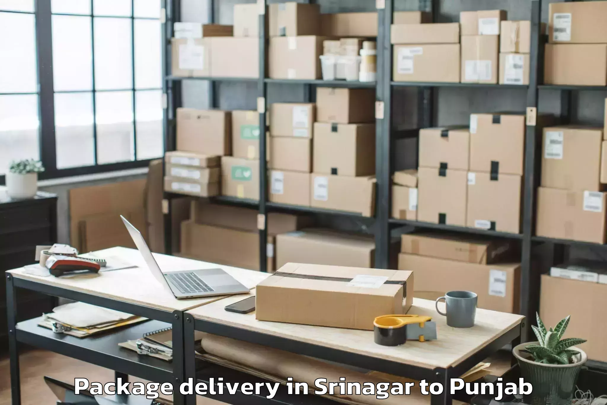 Book Srinagar to Adampur Package Delivery